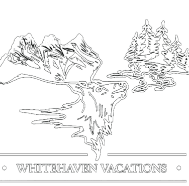 Footer Logo